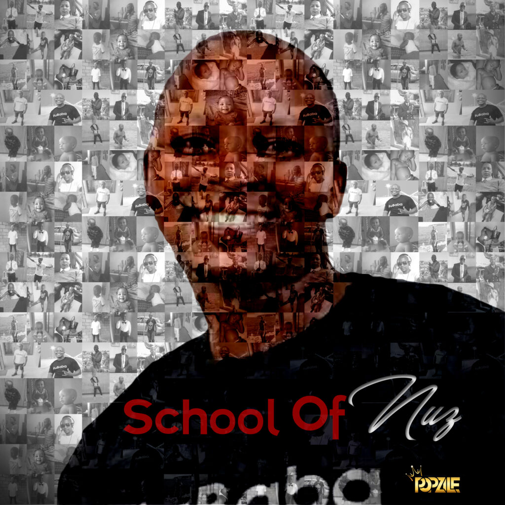 Popzile - School of Nuz (Album) Cover Art